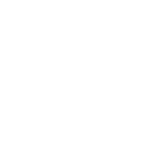 WA Government