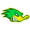 Vincent City Ducks Gridiron Club logo